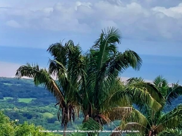 SOUTH-PACIFIC-REALTY-LISTINGS-HOMES-AND-VILLAS-SAMARA-COSTA-RICA-SHV-001-006